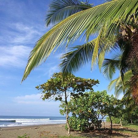 Guava Lodge Playa Matapalo Extérieur photo