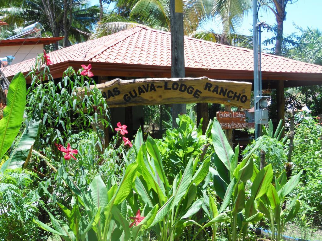 Guava Lodge Playa Matapalo Extérieur photo
